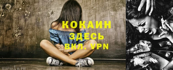 трава Арсеньев