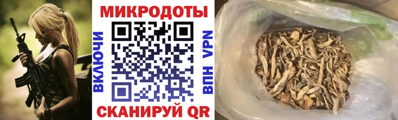 Галлюциногенные грибы Psilocybe сколько стоит Ужур